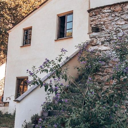 Vezzi Portio Le Petit Chateau מראה חיצוני תמונה
